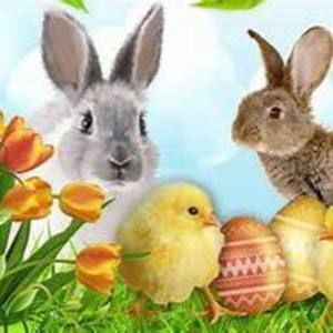 Meet your Posher, Adrienne